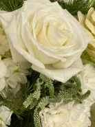 Букет: &laquo;Ботаника&raquo;