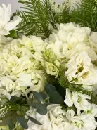 Букет: &laquo;Ботаника&raquo;