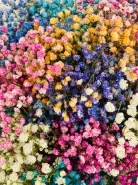 Букет: &laquo;Радужная Гипсофила&raquo;