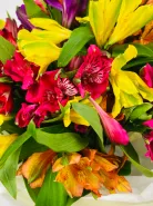 Букет: &laquo;Цветная Альстромерия&raquo;