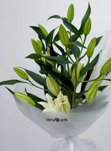 Букет: «Нежность лилии 5» от интернет-магазина цветов в 