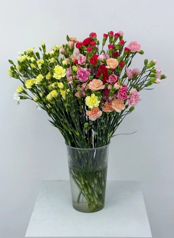 Диантус Кустовой  от интернет-магазина цветов в 