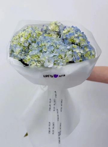 Букет: &laquo;Небесная гортензия 5&raquo; от интернет-магазина цветов в 