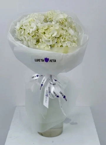 Букет: «Сливочная гортензия 5» от интернет-магазина цветов в 