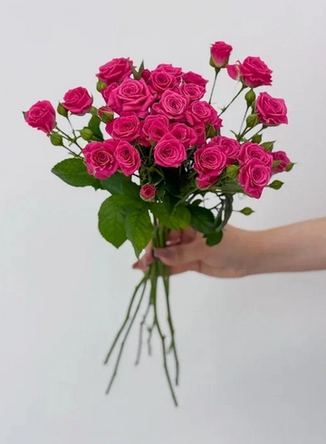 Букет: «Ярко-розовая кустовая роза» от интернет-магазина цветов в 