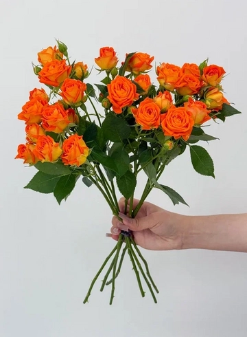 Букет: «Оранжевая кустовая роза» от интернет-магазина цветов в 