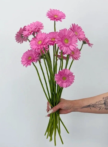 Букет: «Ярко-розовая гербера»  от интернет-магазина цветов в 