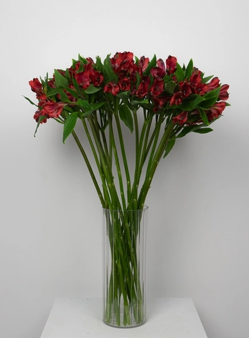 Букет макси: &laquo;Красная Альстромерия&raquo;  от интернет-магазина цветов в 
