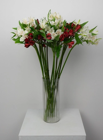 Букет медиум: &laquo;Красно-белая Альстромерия&raquo;  от интернет-магазина цветов в 