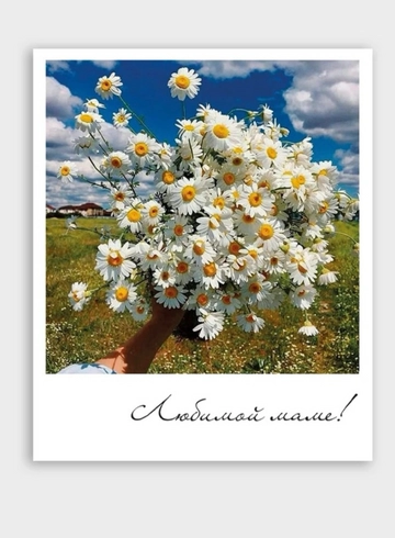 Фотокарточка: «Любимой маме!!!» от интернет-магазина цветов в 