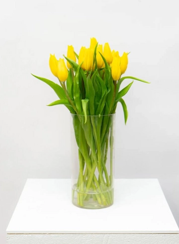 Тюльпан  от интернет-магазина цветов в 