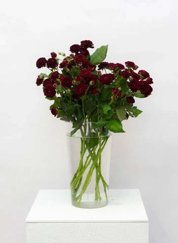 Кустовая Роза Импорт  от интернет-магазина цветов в 